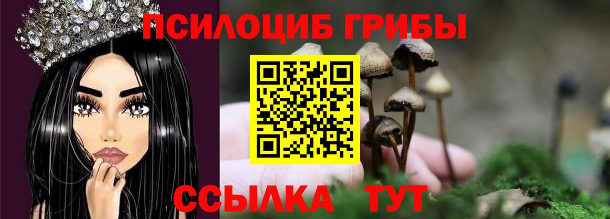 Псилоцибиновые грибы MAGIC MUSHROOMS  Вход с VPN  Петрозаводск 